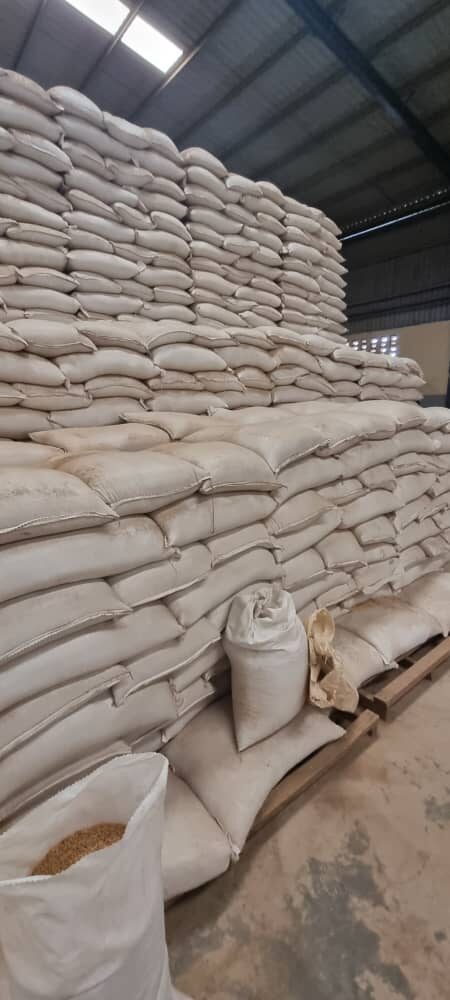 Stacked maize bags inside the packhouse